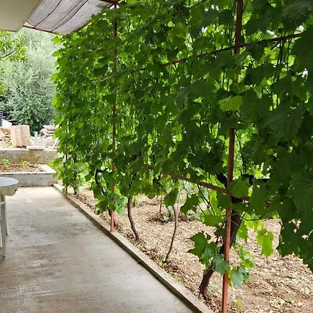 Апартаменты Cvita *